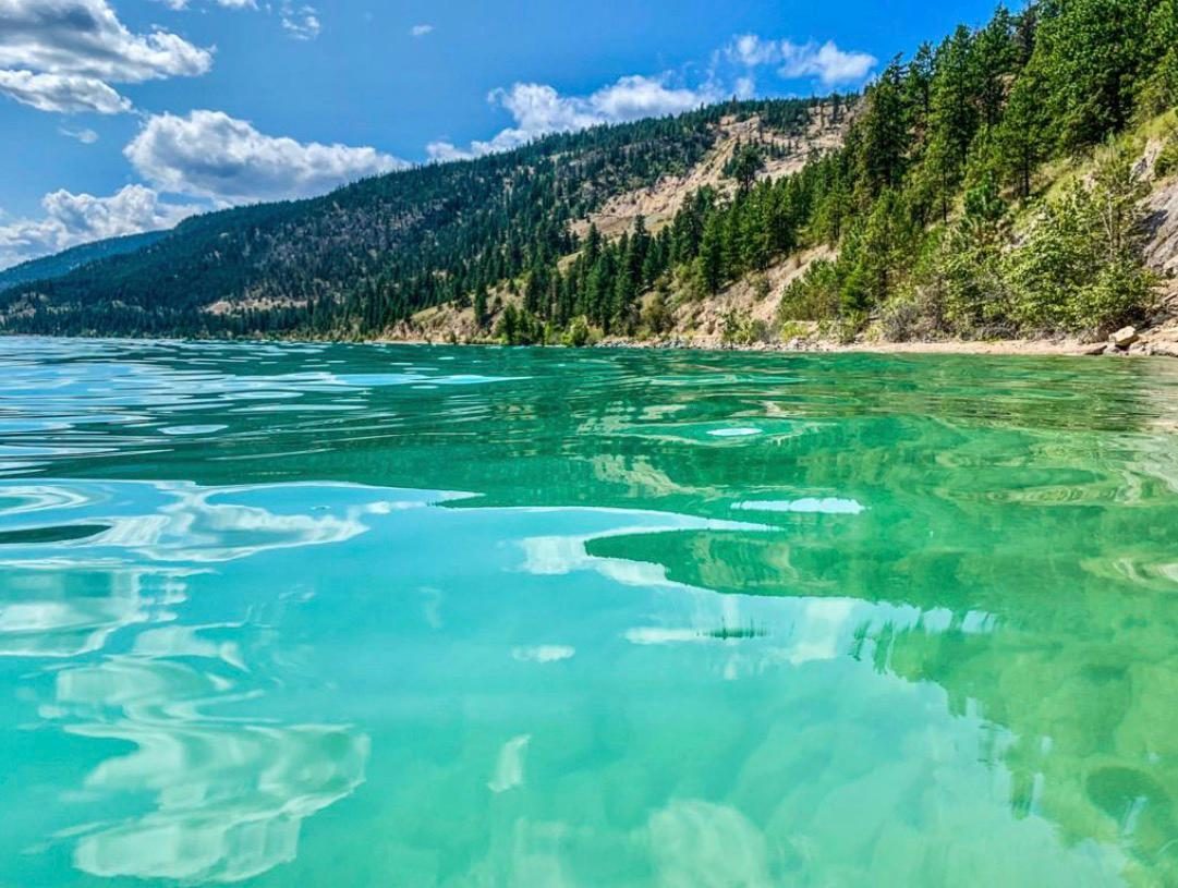 Clear turquoise shallows of Okanagan Lake meeting a forested mountain shoreline under a blue summer sky